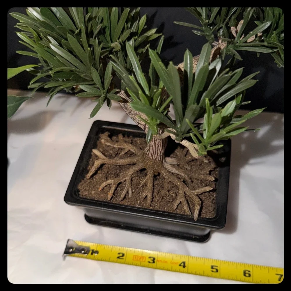 Artificial Bonsai and Succulent Set Home Decor Greenery Black Planters Zen